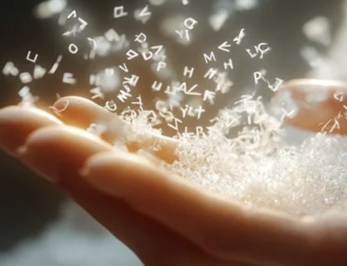 Disability support – Support, your way.