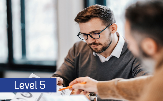 project management level 5 online